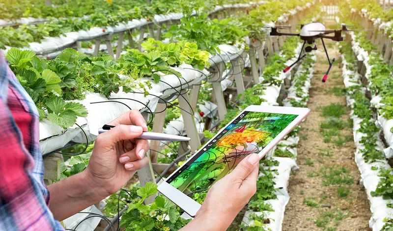 Andalucía consolida su liderazgo europeo en bioeconomía circular
