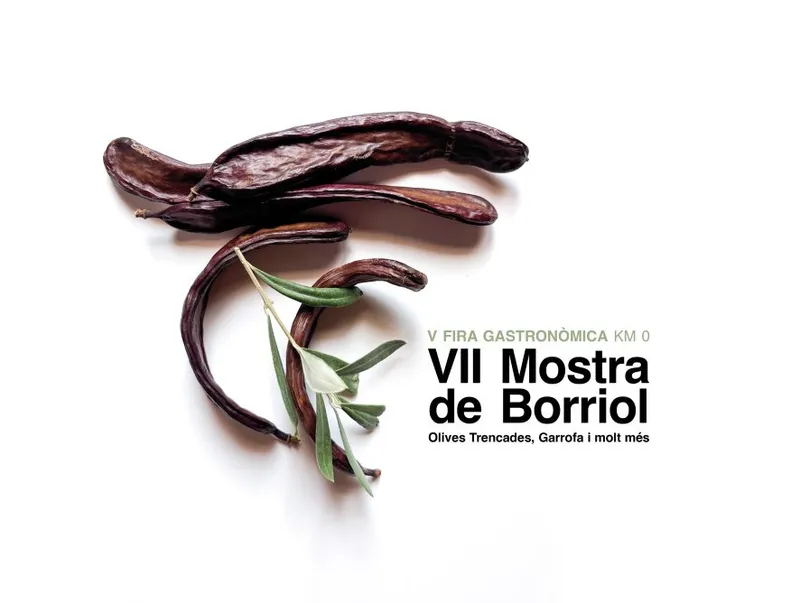 Borriol celebra la VII Mostra de Gastronomia amb productes locals i Km 0