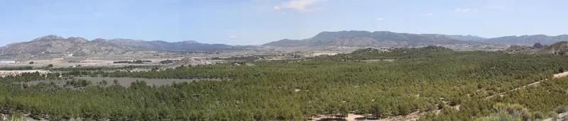 El Área Recreativa de El Plano en Sax, un oasis natural para el ocio y el senderismo