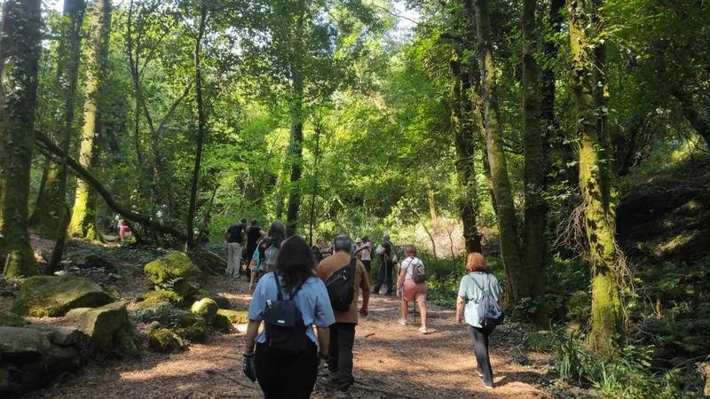 La Diputación de Pontevedra inicia los baños de bosque de agosto con rutas agotadas