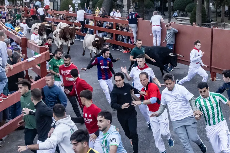 Tercer encierro de Guadalajara transcurre sin incidentes y con alta participación