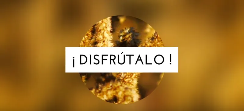 Villaralbo invita a disfrutar de su municipio con la campaña "¡Disfrútalo!"