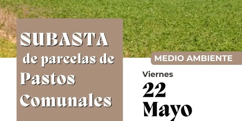 Villafranca saca a subasta parcelas de pastos y cultivo comunales