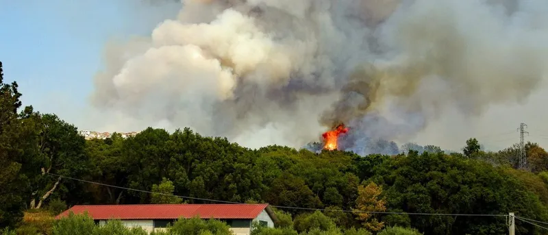 Protección contra incendios: Guía para zonas de interfaz urbano-forestal en Tarragona