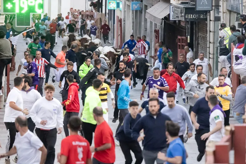 Guadalajara celebra con éxito el primer encierro de la Feria de la Antigua sin incidentes