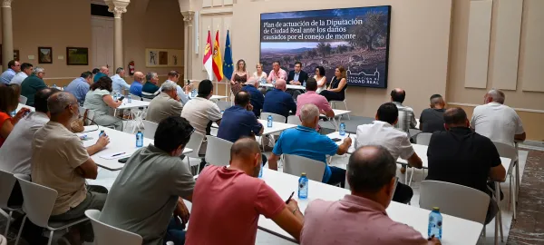 Diputación de Ciudad Real destina 500.000 euros para paliar daños por plaga de conejos