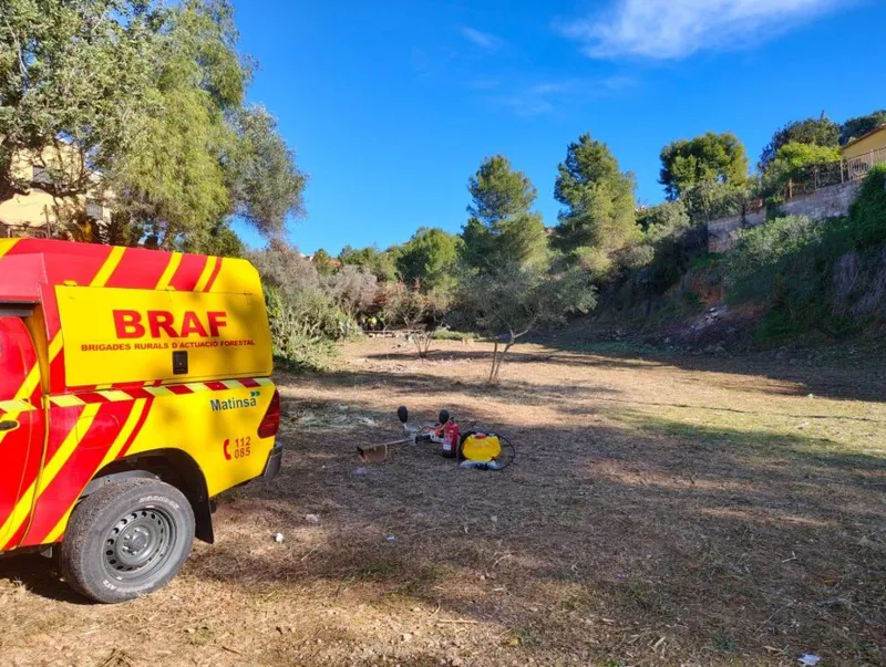 Borriol refuerza la protección contra incendios con limpieza en interfase urbano-forestal