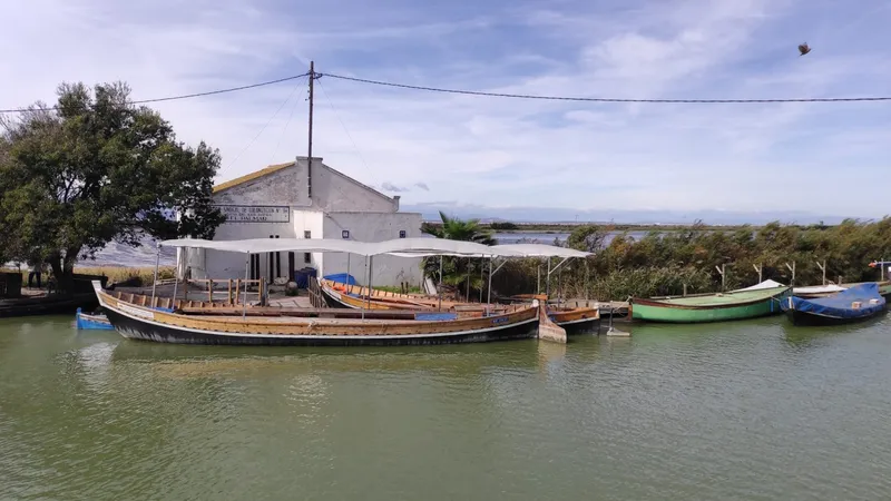 El Servicio Devesa-Albufera refuerza el islote flotante de la Mata del Brossar con 85 postes