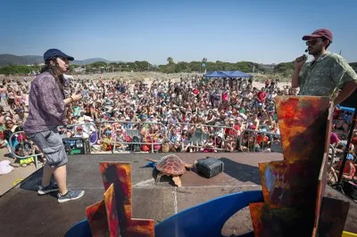 Castelldefels celebra la primera liberación de tortugas marinas rescatadas