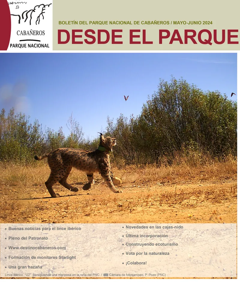 Boletín del Parque Nacional de Cabañeros: noticias sobre lince ibérico y ecoturismo