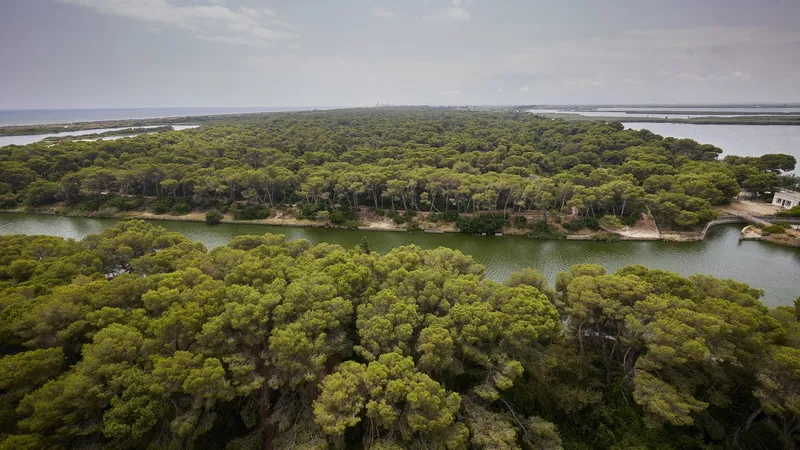 La Devesa de València celebra 99 años y prepara su centenario con proyectos de futuro