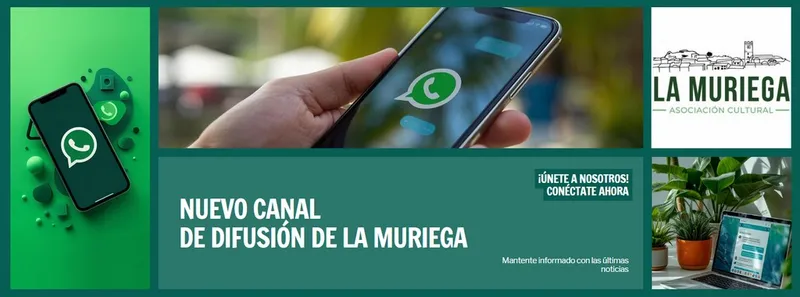 Bordalba implementa un nuevo canal de comunicación por WhatsApp para sus socios