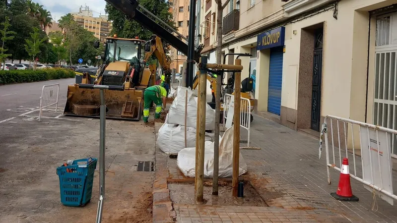 Valencia repone arbolado en alcorques vacíos gracias a los presupuestos participativos