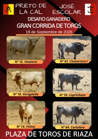 Riaza celebra su Feria Taurina el 19 de septiembre con un desafío de ganaderías