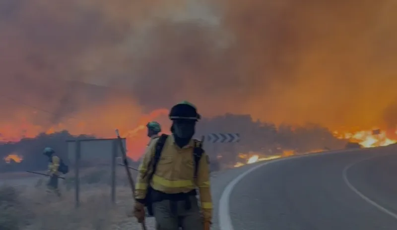 Almería: 12 fallecidos en el devastador incendio de Los Gallardos