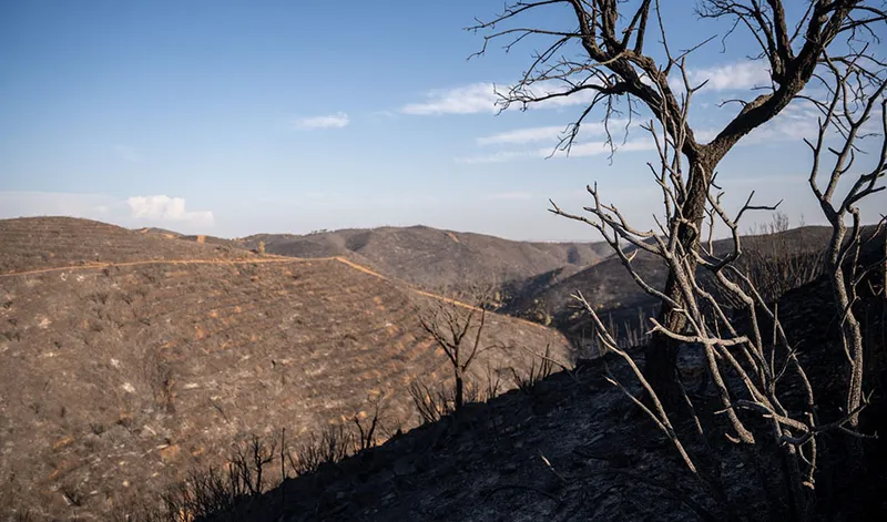 Estabilizado el incendio de Niebla (Huelva) tras diez días de lucha contra las llamas