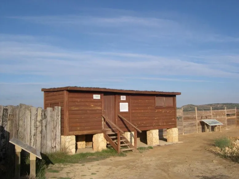 Visita al observatorio ornitológico de la Laguna de Pétrola por el este