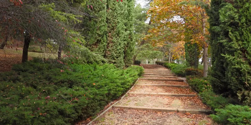 Madrid renombra el parque de Caramuel en honor al papa Francisco I