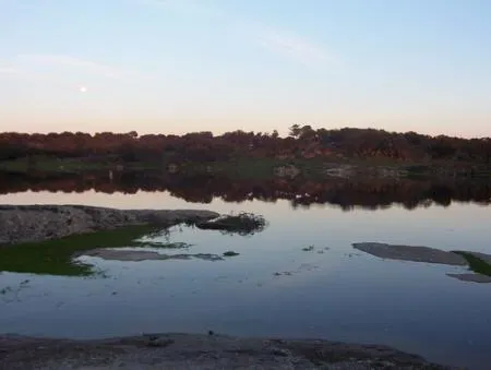 Torrequemada: Un paraíso natural protegido para aves en los Llanos de Cáceres