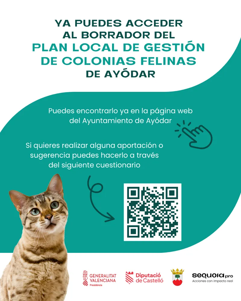 Ayódar aprueba el Plan de Colonias Felinas y la Ordenanza de Bienestar Animal