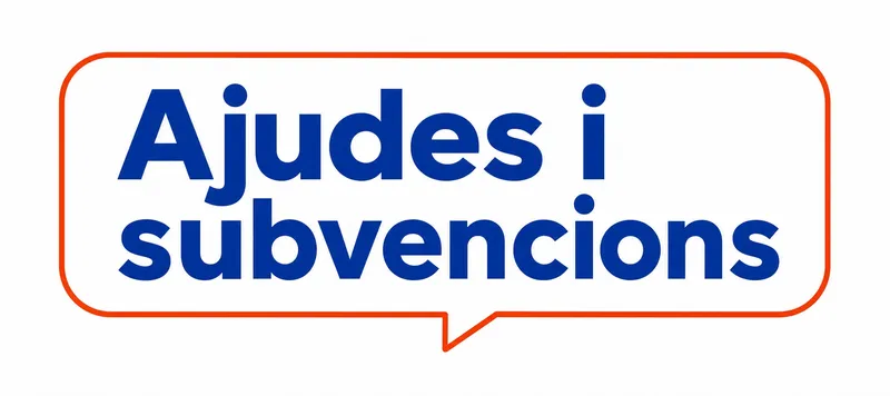 La Generalitat y el mundo fallero preparan las ayudas para los llibrets de 2027
