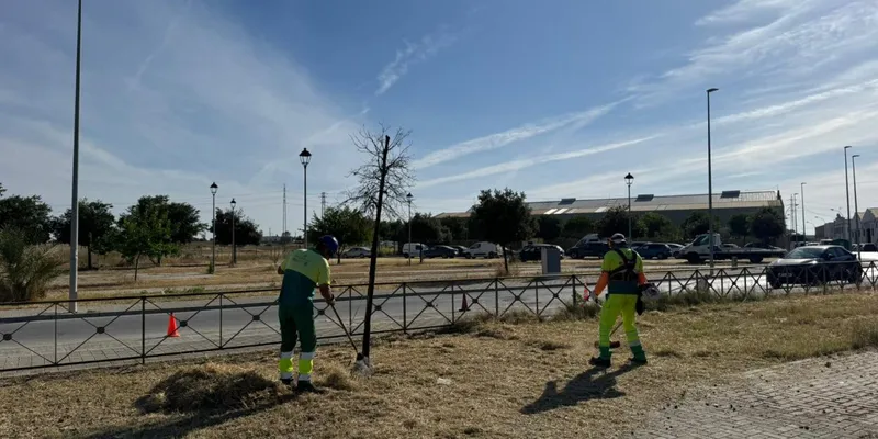 Utrera mejora la imagen de sus polígonos industriales con limpieza y desbroce