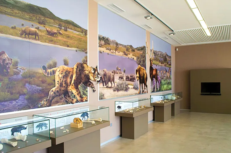 Orce abre al público la Oficina de Turismo y el Museo Primeros Pobladores con nuevos horarios