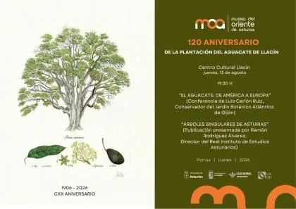Llanes celebra el 120 aniversario de la plantación de un aguacate singular