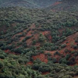 Cihuela: Vestigios mineros y senderismo en la ruta Del Valle al Monte