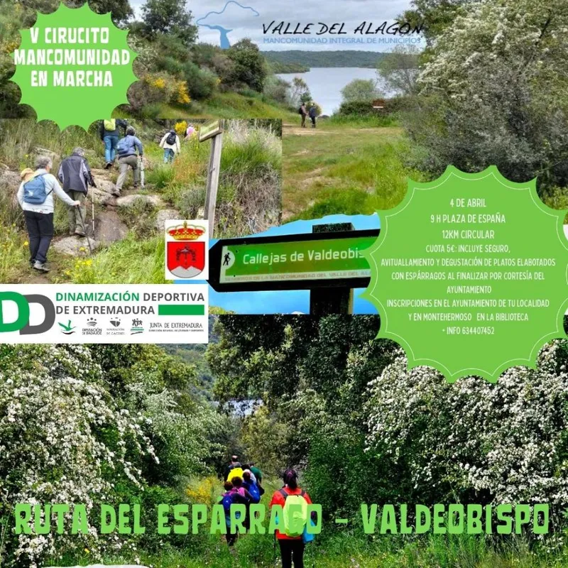 Valdeobispo celebra la Ruta del Espárrago el 4 de abril