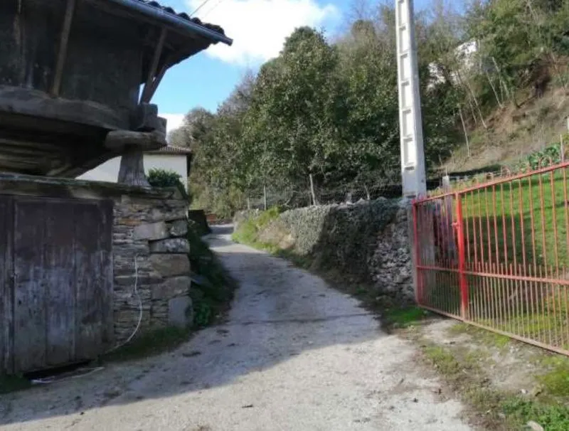 Allande licita 25.000 euros para ensanchar el camino de Lomes