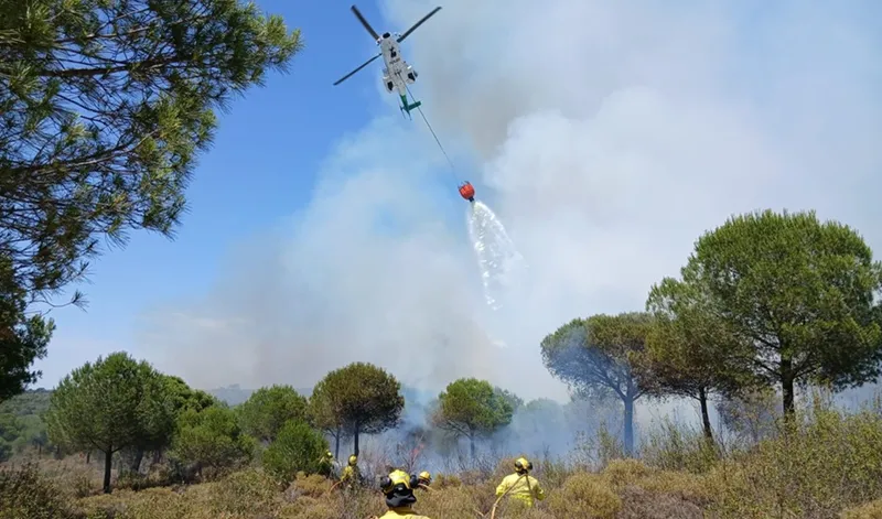 Incendio forestal en Lepe: 115 alumnos de un campamento son evacuados de forma preventiva