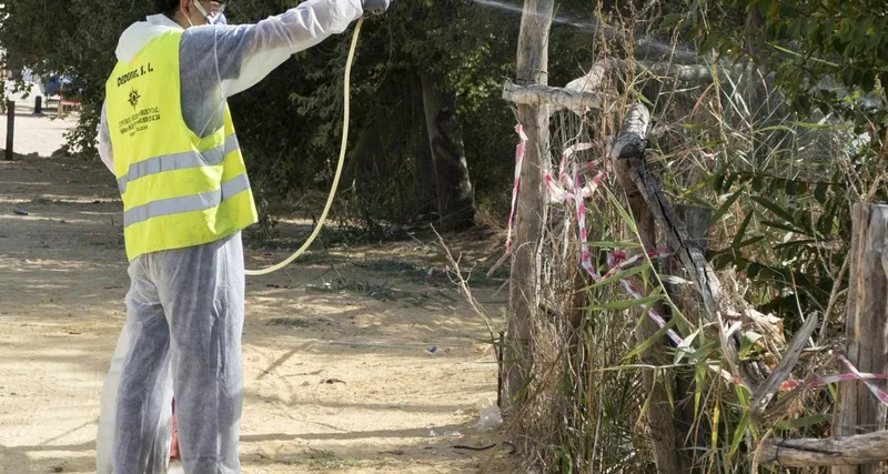 Utrera en alerta por un caso de Fiebre del Nilo Occidental