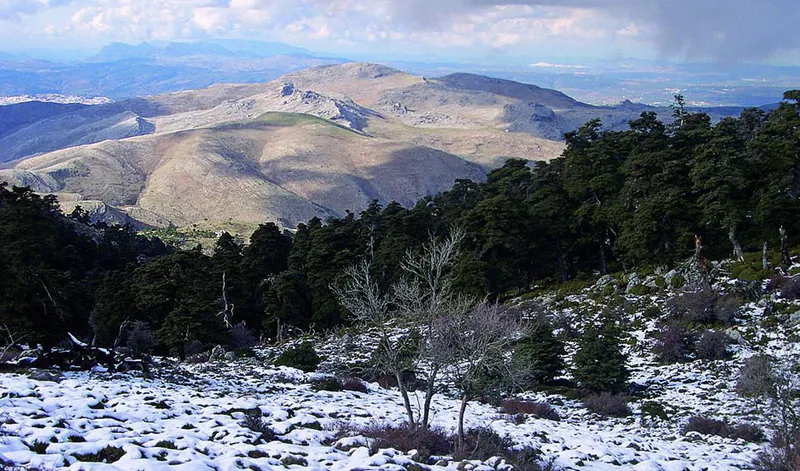 La Sierra de las Nieves celebra su quinto aniversario como Parque Nacional