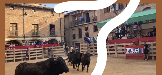 Larraga celebra la XXIV edición de la fiesta de la Vaca Brava el 25 de julio