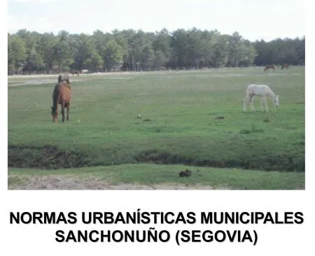 Sanchonuño aprueba sus Normas Urbanísticas