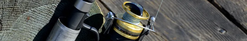 Obtenga su licencia de pesca recreativa en Baleares de forma rápida y sencilla