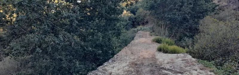 Ruta senderista por la Canle de Ramil: naturaleza y patrimonio en Agolada