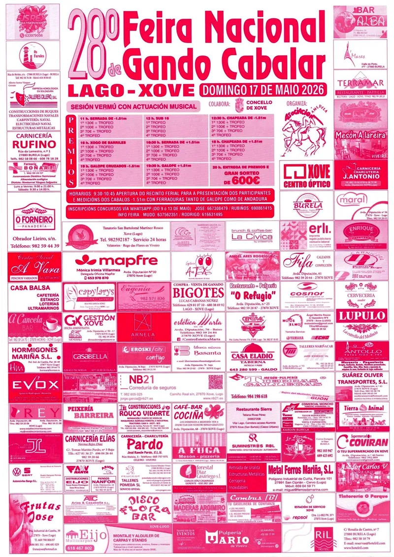 XXVIII Feira Cabalar de Lago: Tradición y convivencia ecuestre en Xove