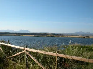 El Embalse de Las Cañas celebra el Día de las Aves Migratorias con actividades gratuitas