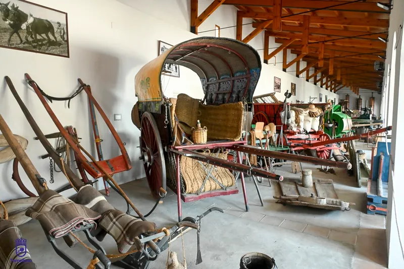 Tomelloso moderniza el Museo del Carro con fondos europeos para mejorar la experiencia del visitante