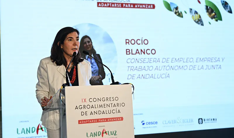 Andalucía destina 50 millones en ayudas por las borrascas y ya ha resuelto 4.000 peticiones