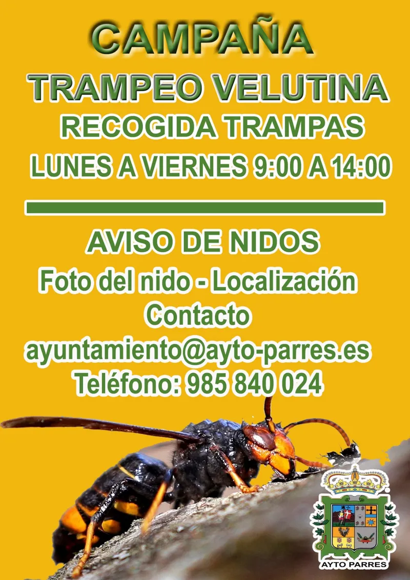 Arranca la campaña de trampeo contra la avispa asiática en Parres