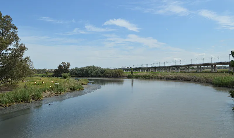 La Junta de Andalucía impulsa un nuevo itinerario ciclopeatonal en Jerez de la Frontera junto al Guadalete