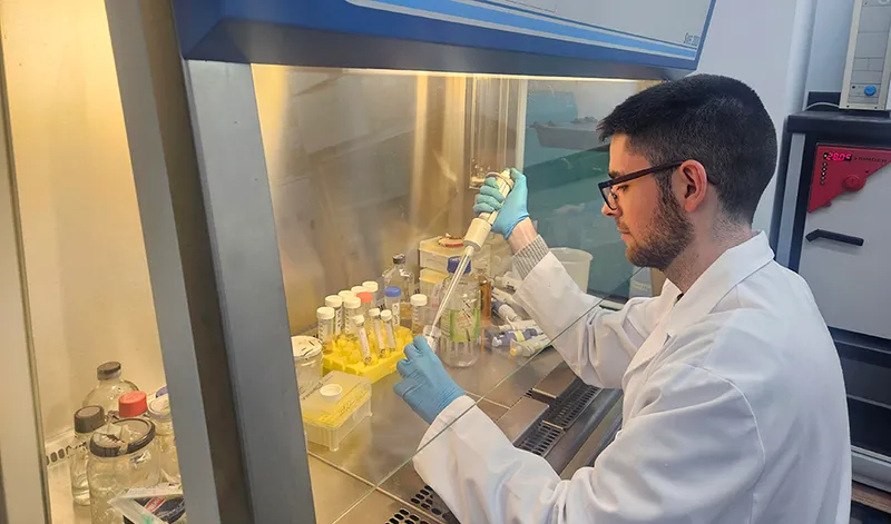 Siete unidades de investigación andaluzas alcanzan la excelencia científica