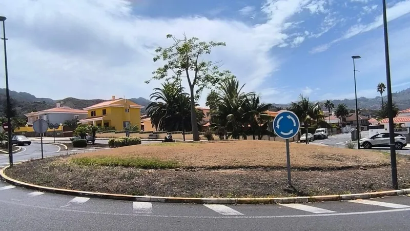 Tegueste renueva sus rotondas con jardinería sostenible para ahorrar agua y reducir mantenimiento
