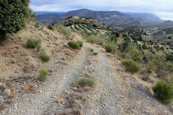Montejícar recupera la historia a través de la ruta del Camino de los Arrieros