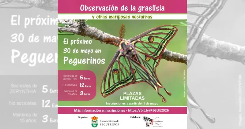 Peguerinos organiza la observación de mariposas nocturnas Graellsia