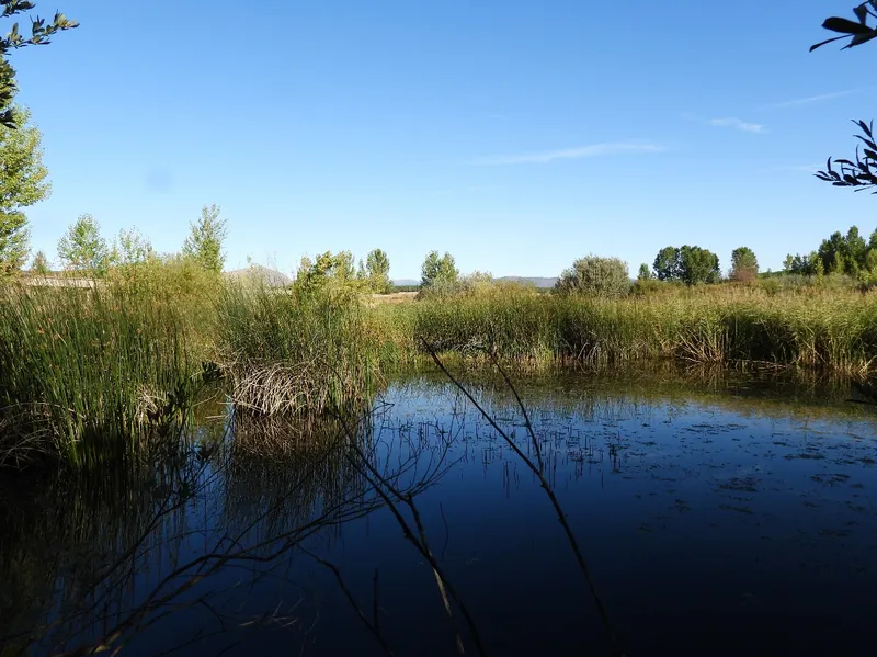 Las Graveras de Fuentecantos: un humedal de biodiversidad sostenido por un antiguo canal