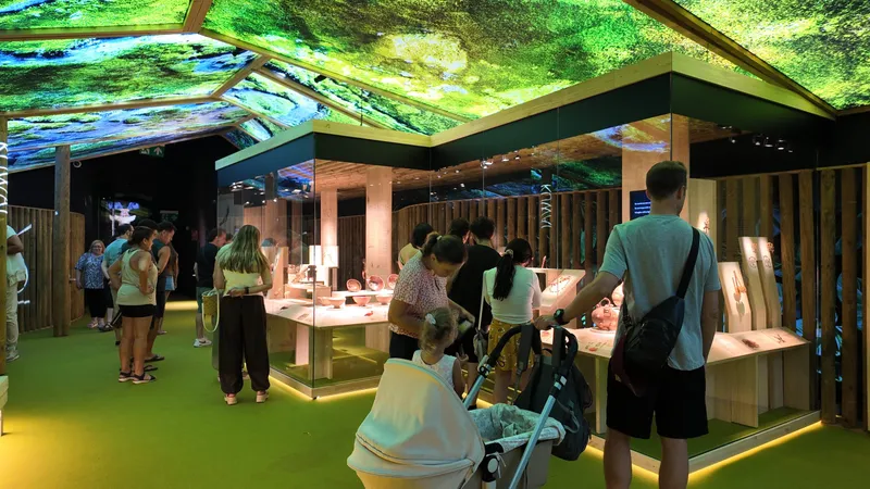 La exposición "El oro y el universo" del MARQ atrae a casi 19.000 visitantes en su primer mes